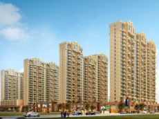 新景龙郡